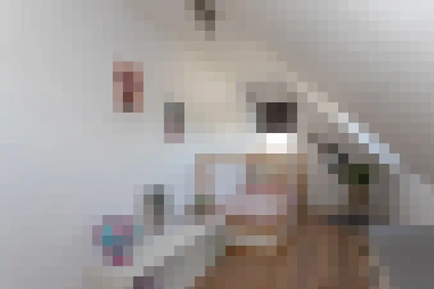 Loo 37 Bergeijk thumbnail 28