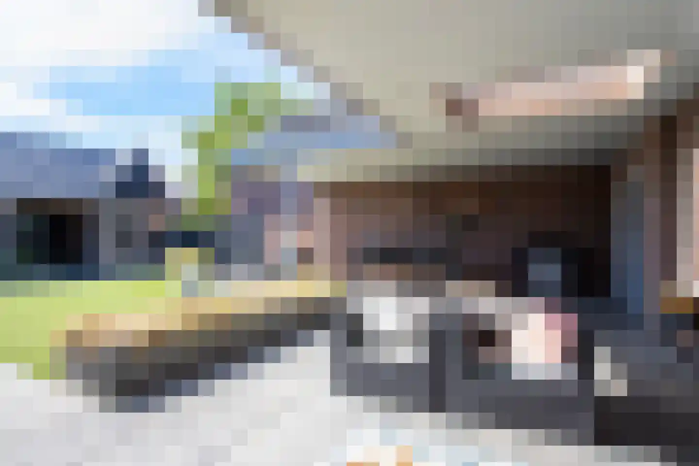 Loo 37 Bergeijk thumbnail 33