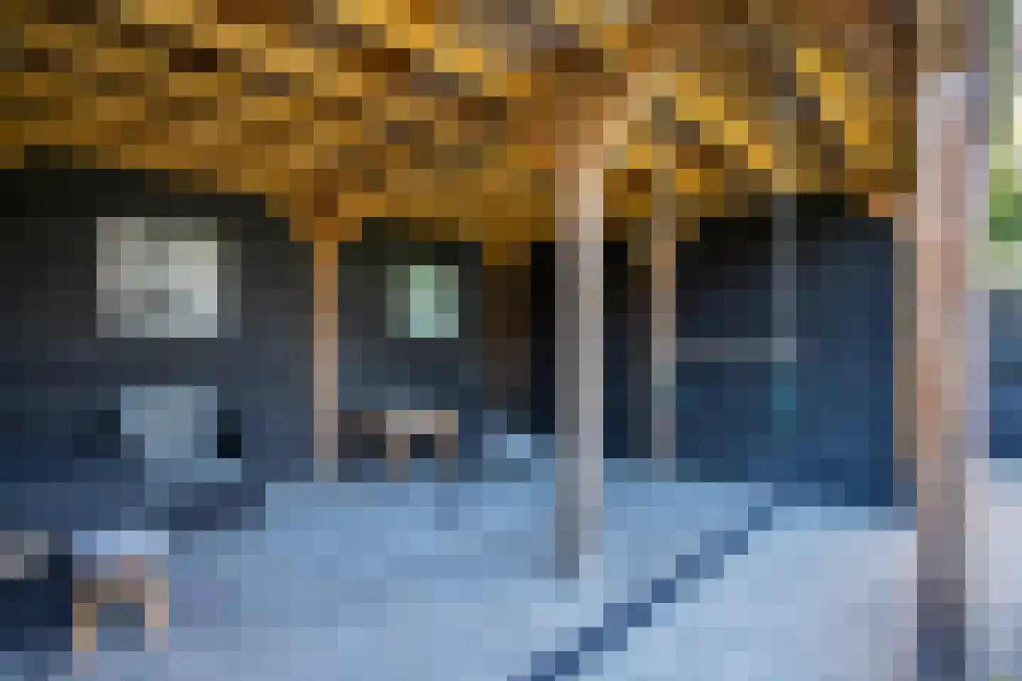 Loo 37 Bergeijk thumbnail 36