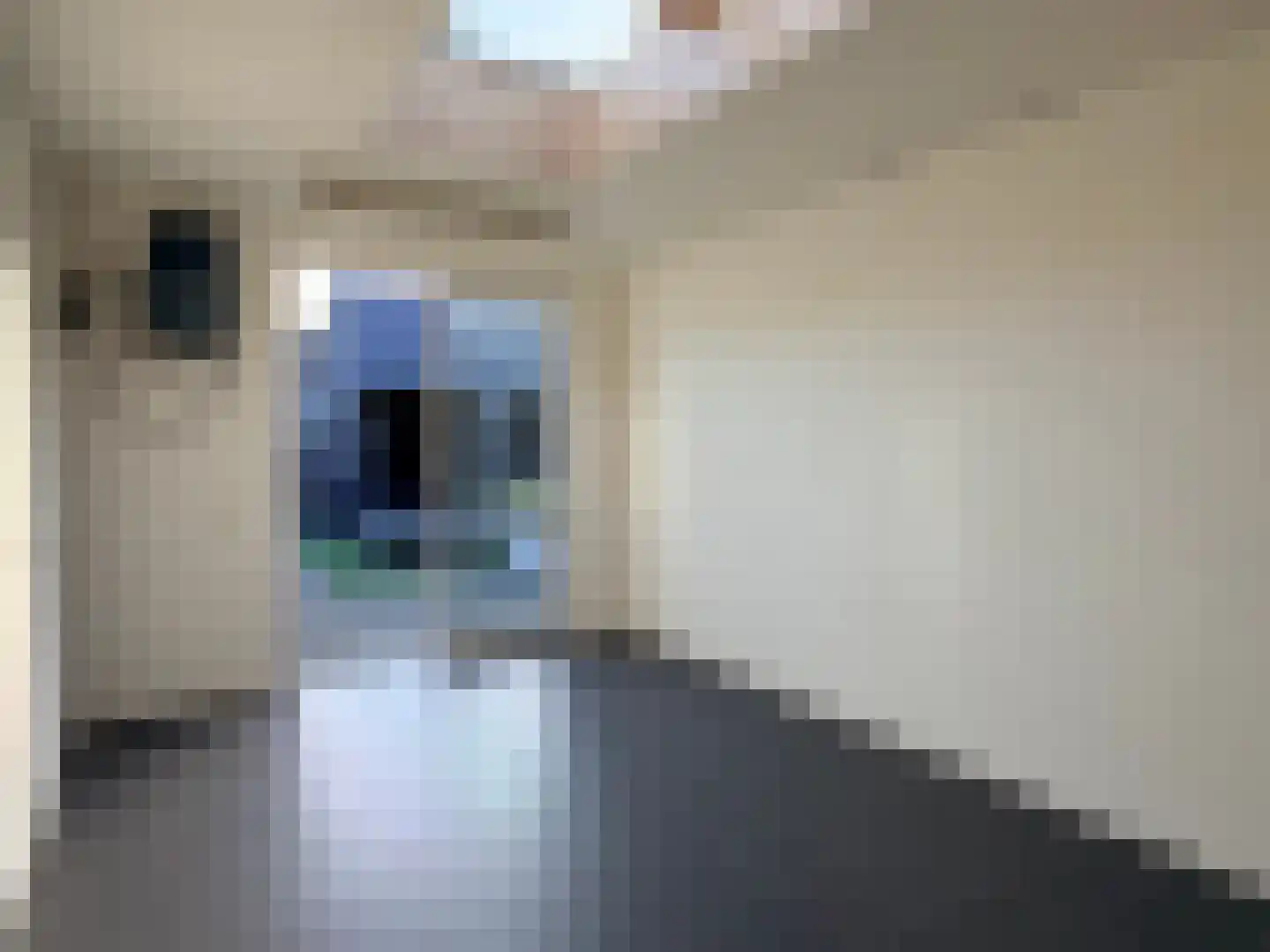 Loo 37 Bergeijk thumbnail 41