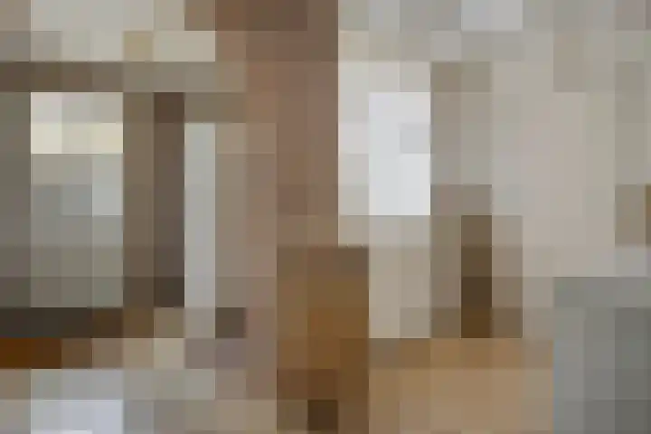 Loo 55 Nistelrode thumbnail 12