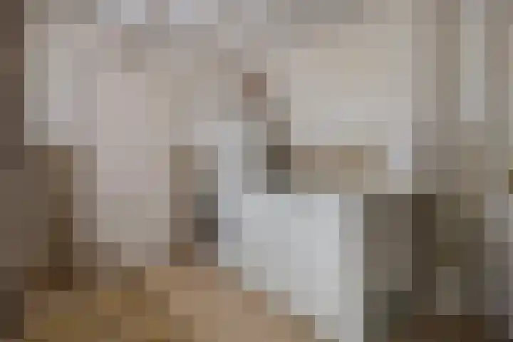 Loo 55 Nistelrode thumbnail 14