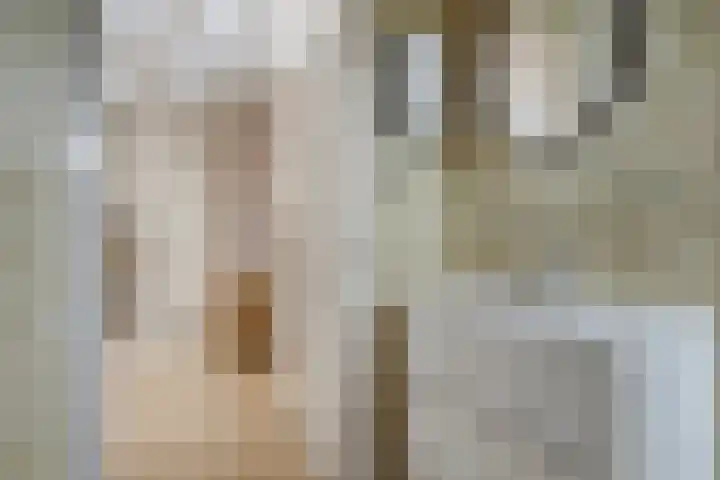 Loo 55 Nistelrode thumbnail 16