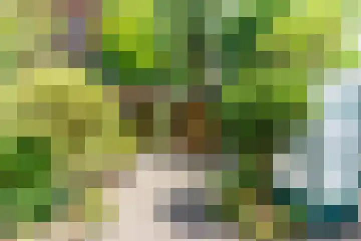 Loo 55 Nistelrode thumbnail 34