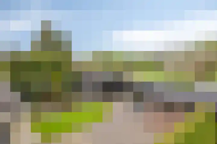Loo 55 Nistelrode thumbnail 35