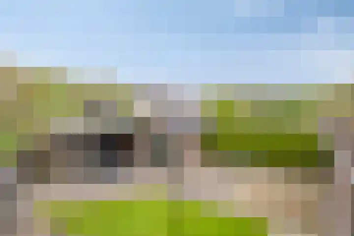 Loo 55 Nistelrode thumbnail 36