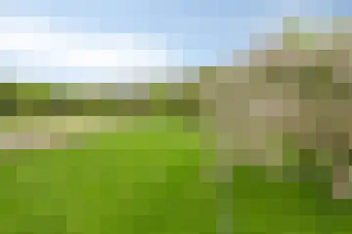 Loo 55 Nistelrode thumbnail 4