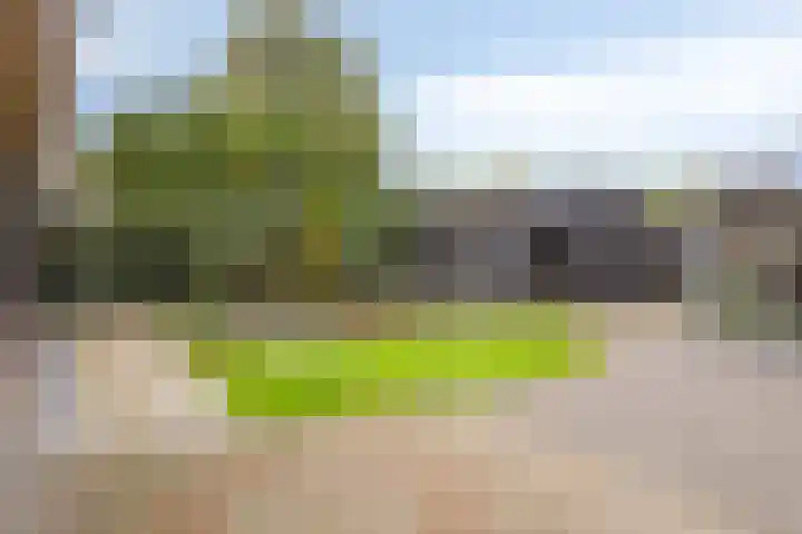 Loo 55 Nistelrode thumbnail 40