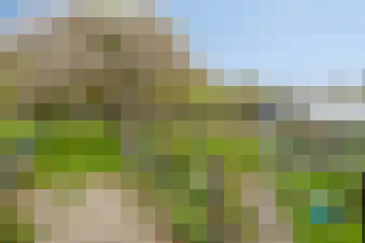 Loo 55 Nistelrode thumbnail 41