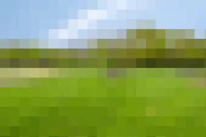 Loo 55 Nistelrode thumbnail 44