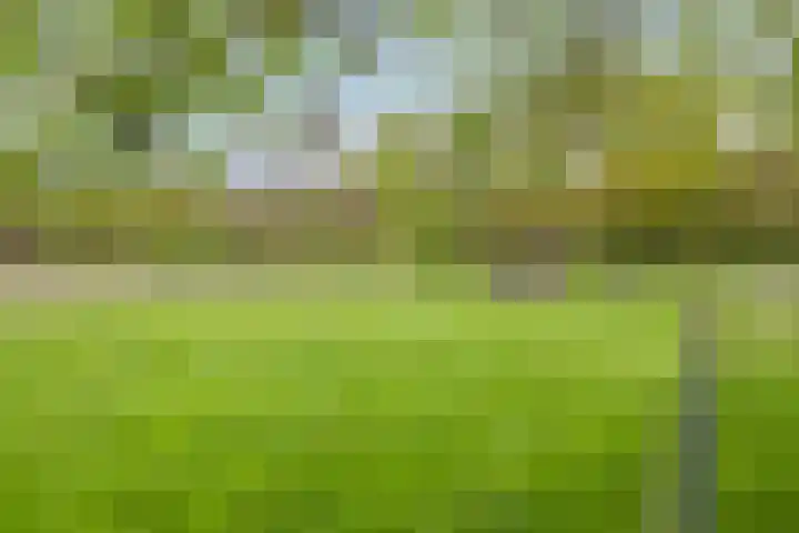 Loo 55 Nistelrode thumbnail 45