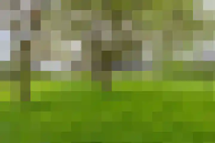 Loo 55 Nistelrode thumbnail 46