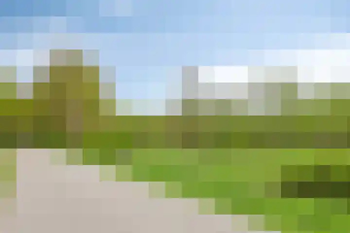Loo 55 Nistelrode thumbnail 48
