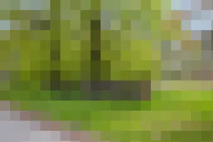 Loo 55 Nistelrode thumbnail 51