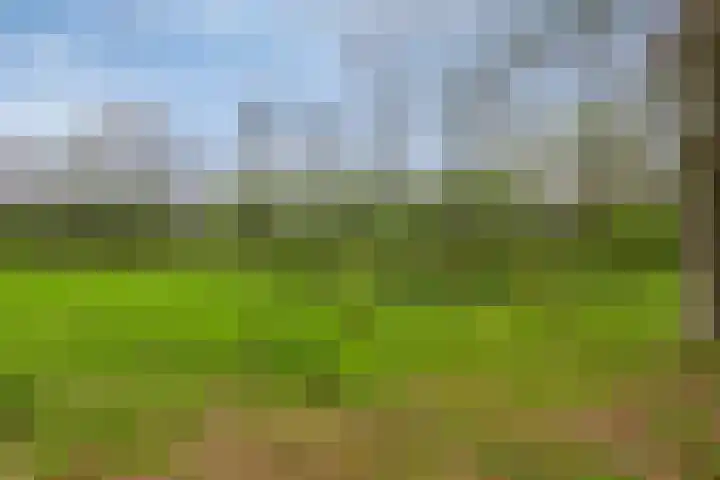 Loo 55 Nistelrode thumbnail 52