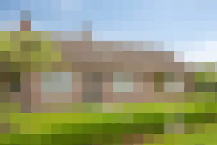 Loo 55 Nistelrode thumbnail 6