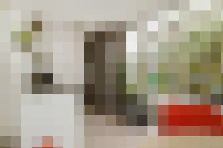 Loo 55 Nistelrode thumbnail 7
