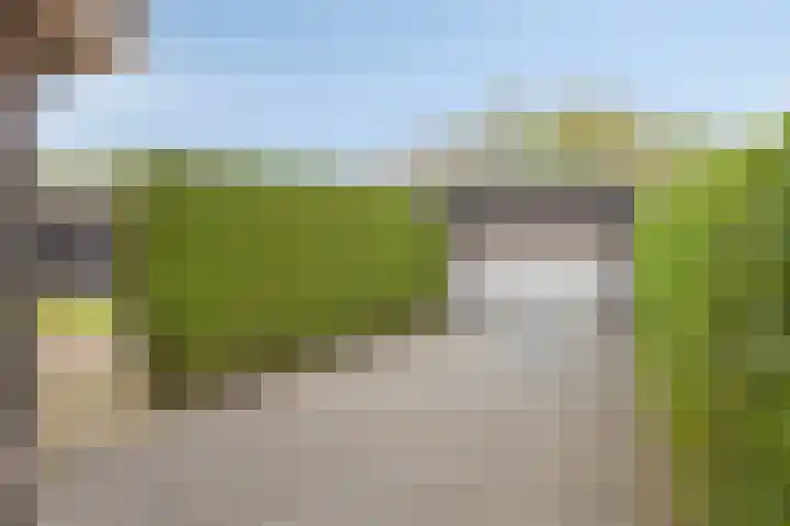 Loo 55 Nistelrode thumbnail 9