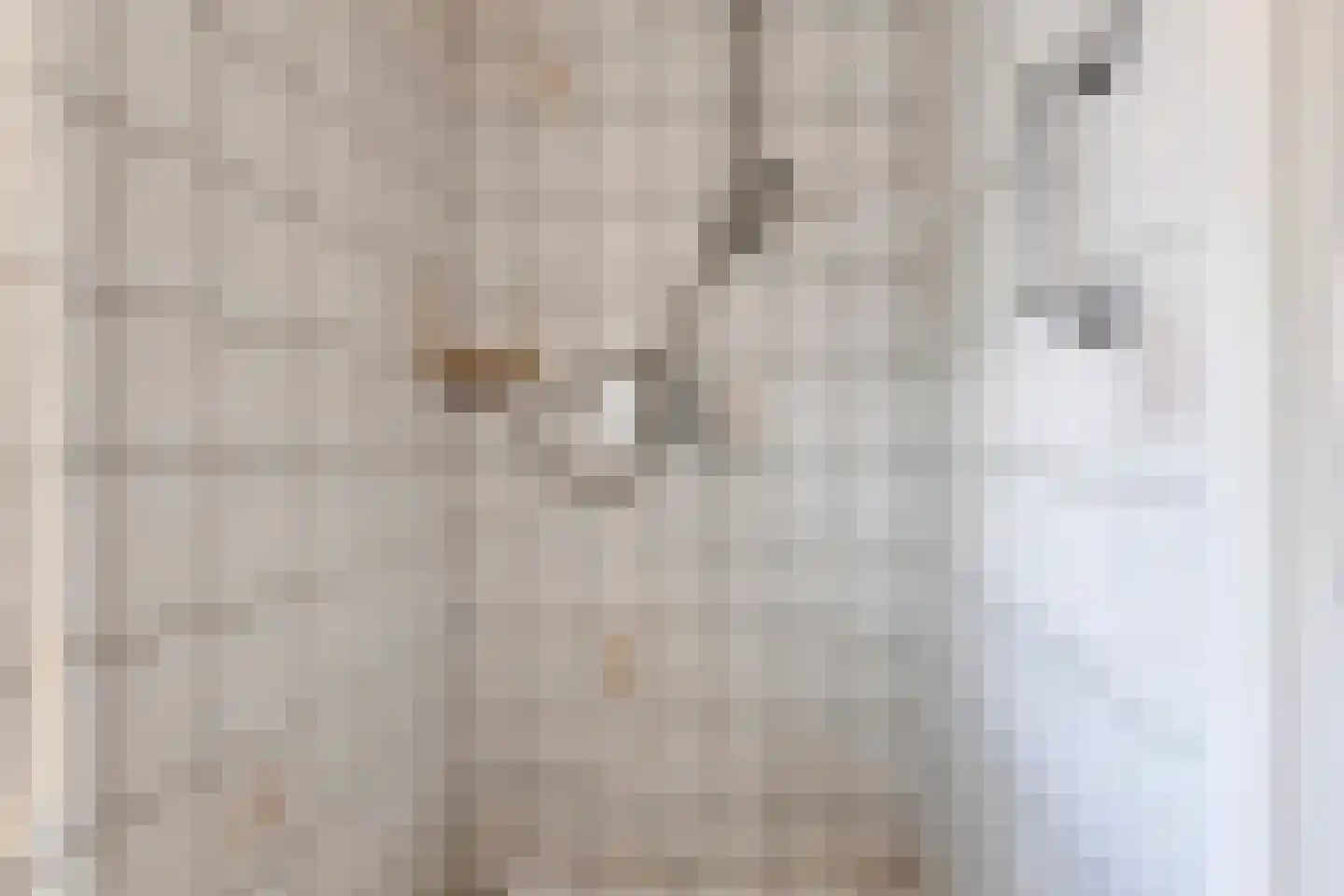 Loo 6 Etten thumbnail 29