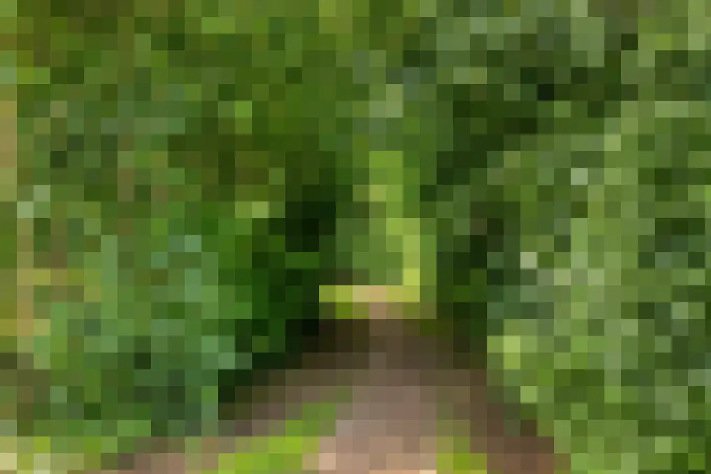 Loo 6 Etten thumbnail 39