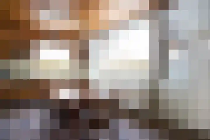 Loo 66 Bergeijk thumbnail 10