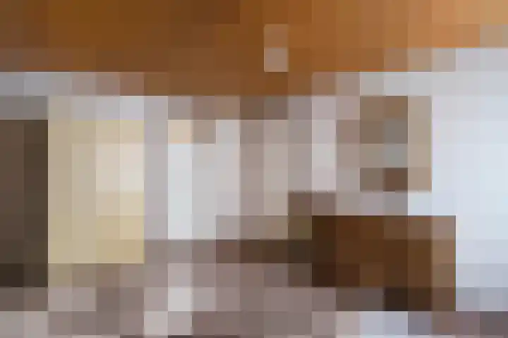 Loo 66 Bergeijk thumbnail 17
