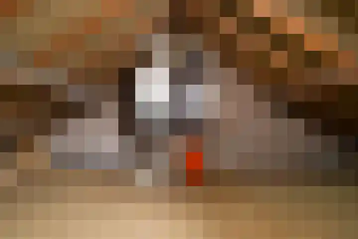 Loo 66 Bergeijk thumbnail 25