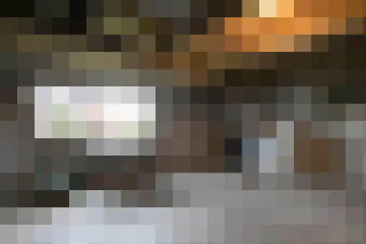 Loo 66 Bergeijk thumbnail 27