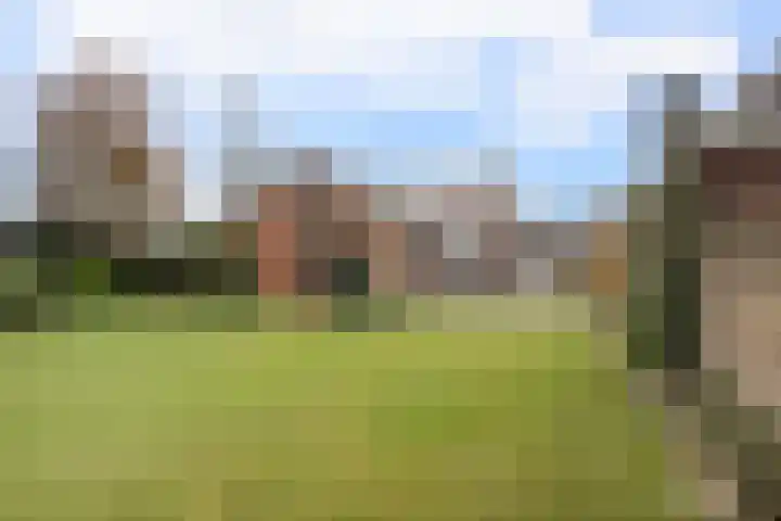 Loo 66 Bergeijk thumbnail 31