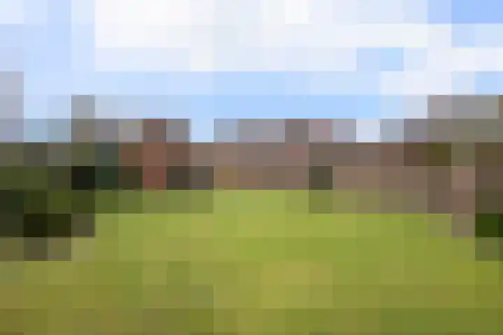Loo 66 Bergeijk thumbnail 32
