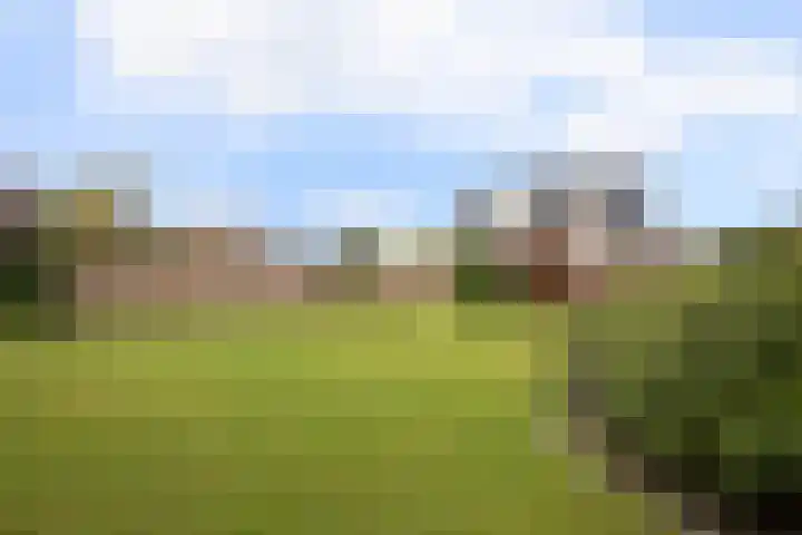 Loo 66 Bergeijk thumbnail 33