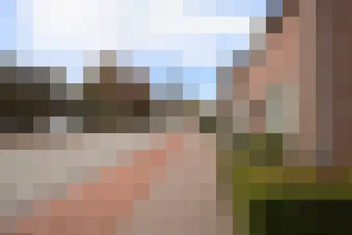 Loo 66 Bergeijk thumbnail 35