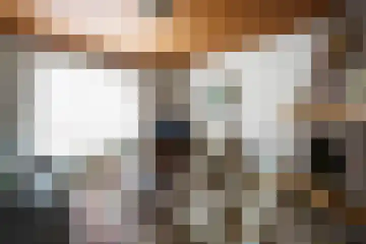 Loo 66 Bergeijk thumbnail 6