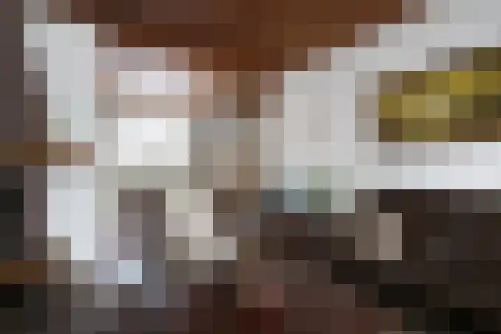 Loo 66 Bergeijk thumbnail 7