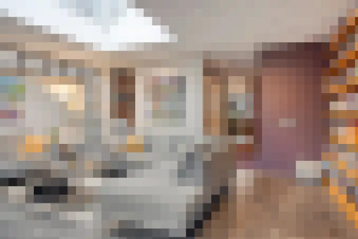 Loo 76 Bergeijk thumbnail 11
