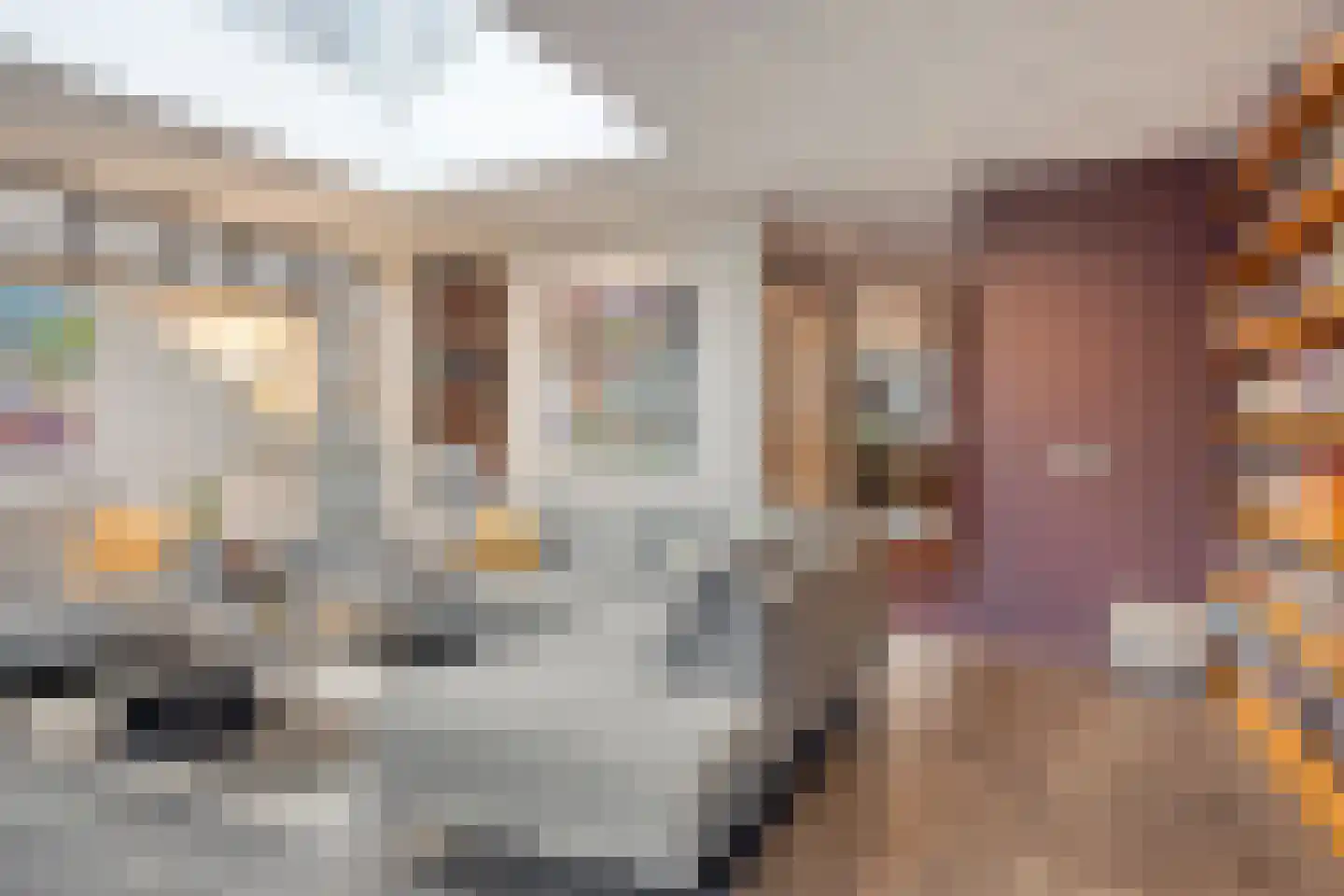 Loo 76 Bergeijk thumbnail 12