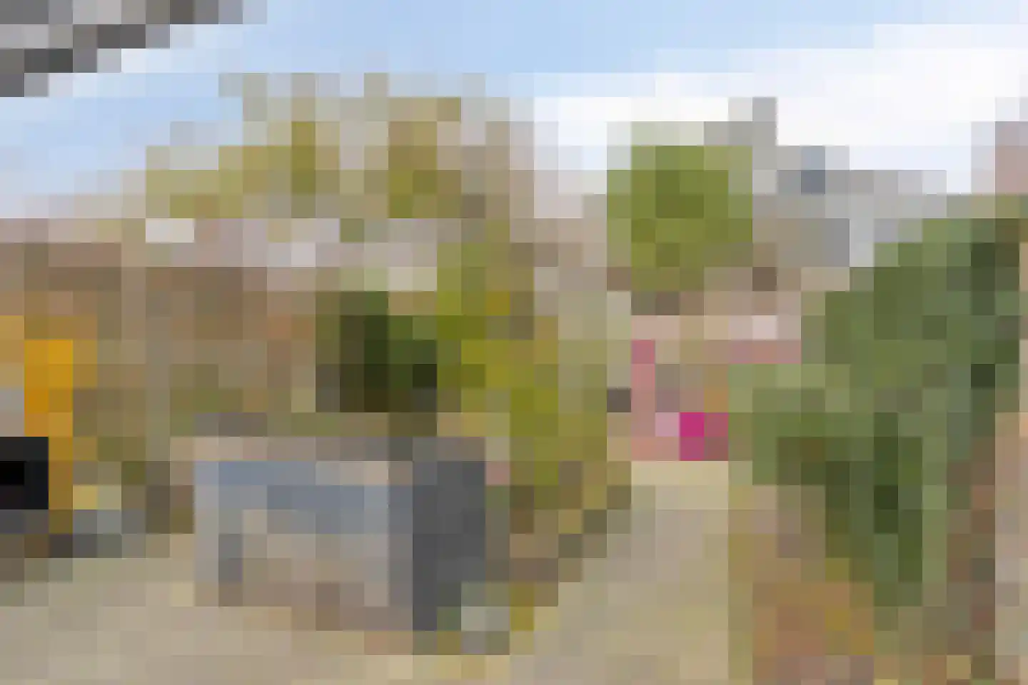 Loo 76 Bergeijk thumbnail 24