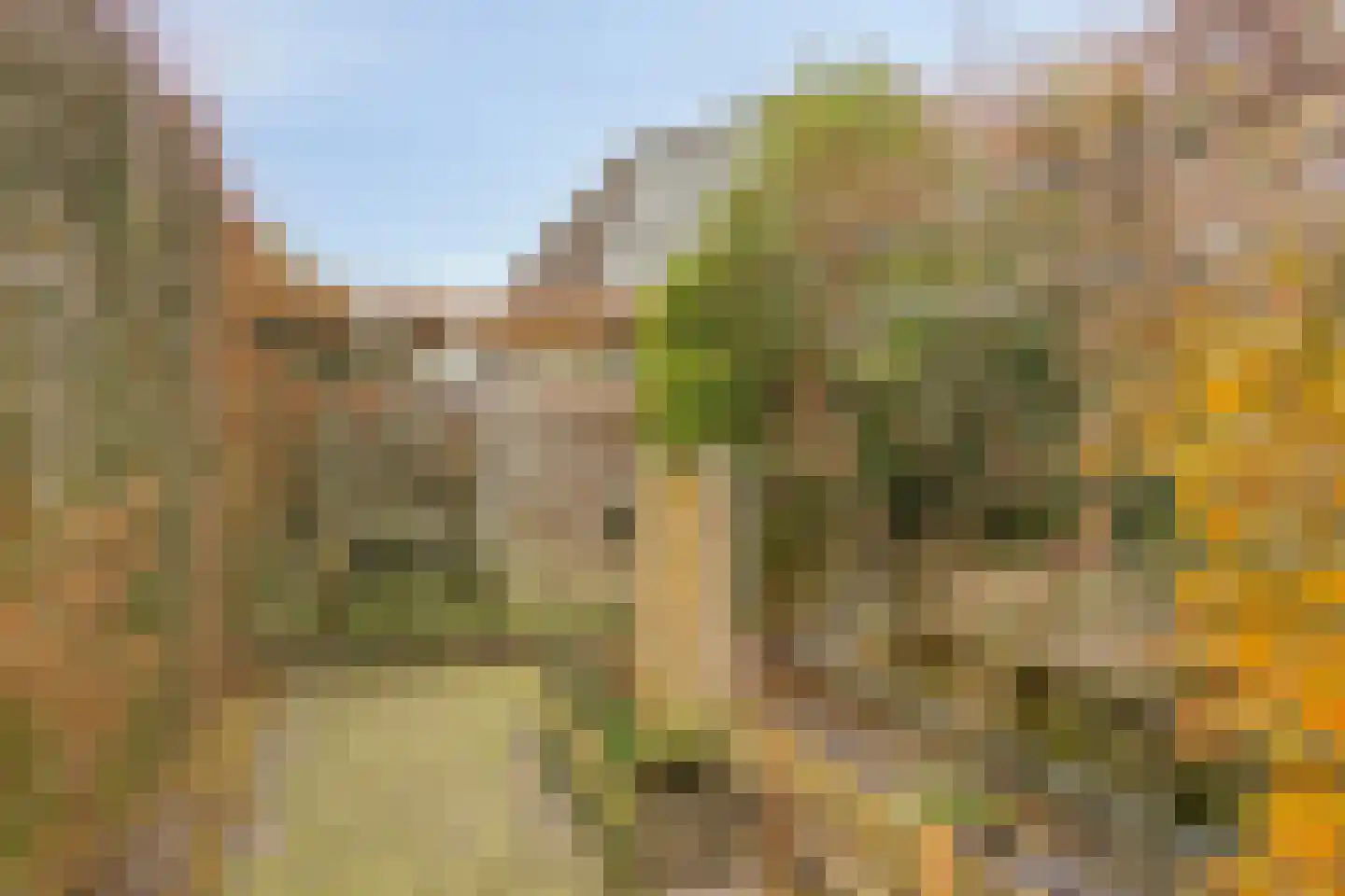 Loo 76 Bergeijk thumbnail 25