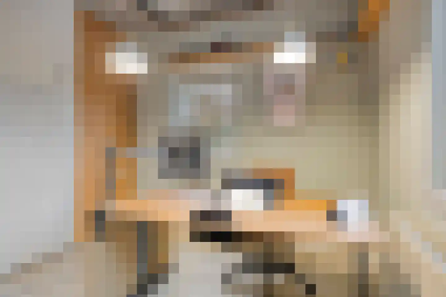 Loo 76 Bergeijk thumbnail 33
