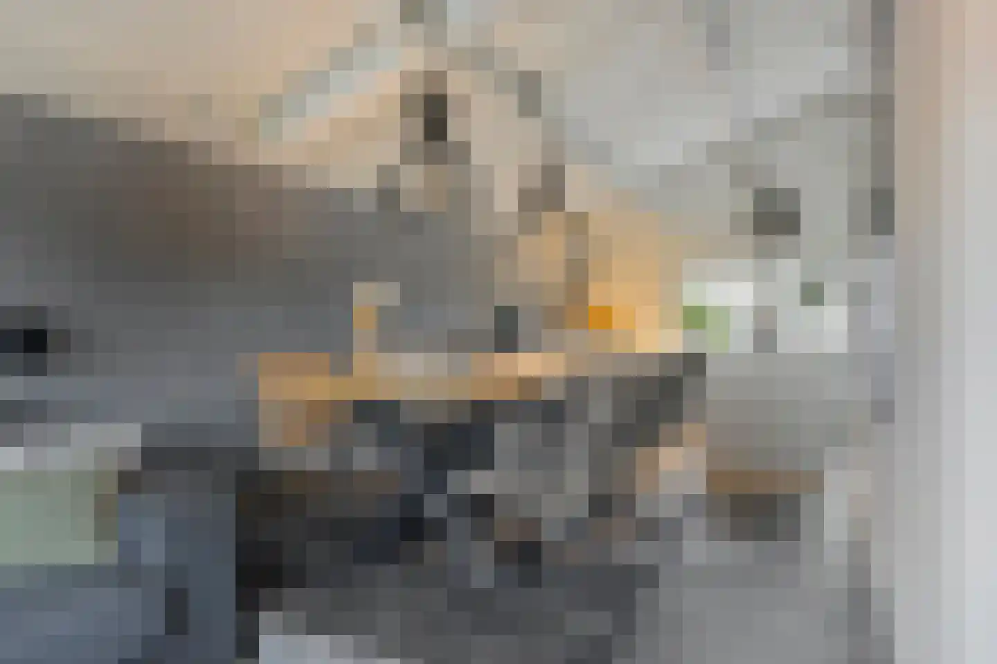 Loo 76 Bergeijk thumbnail 37