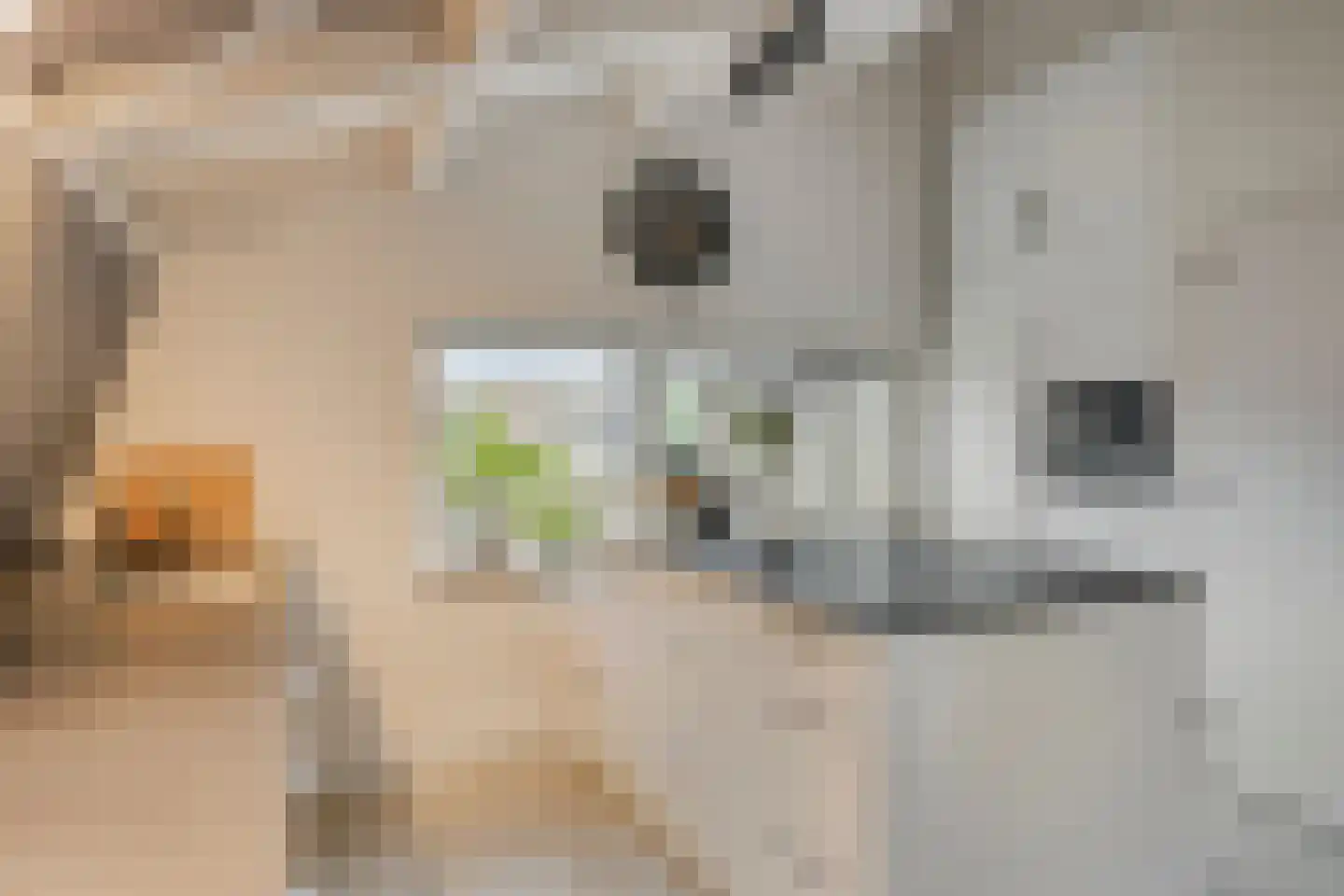 Loo 76 Bergeijk thumbnail 38