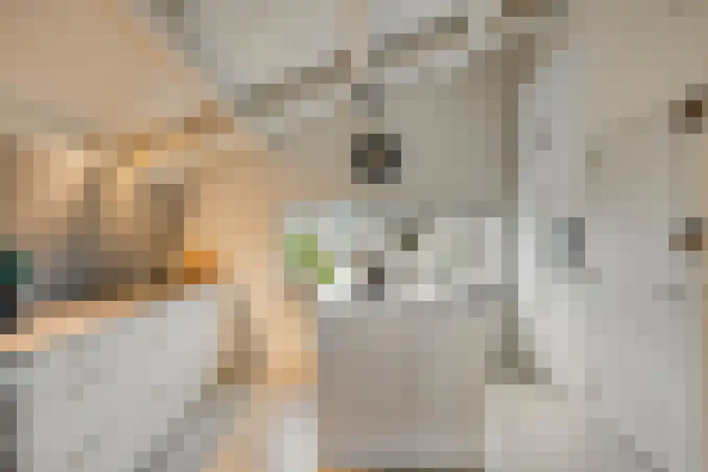 Loo 76 Bergeijk thumbnail 39