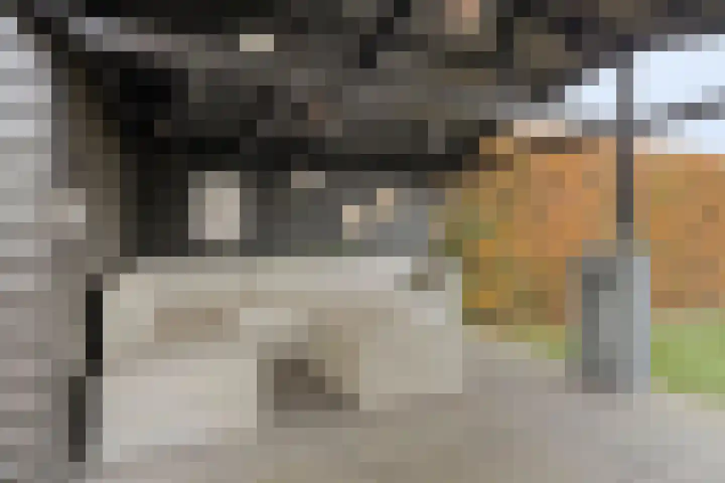 Loo 76 Bergeijk thumbnail 42