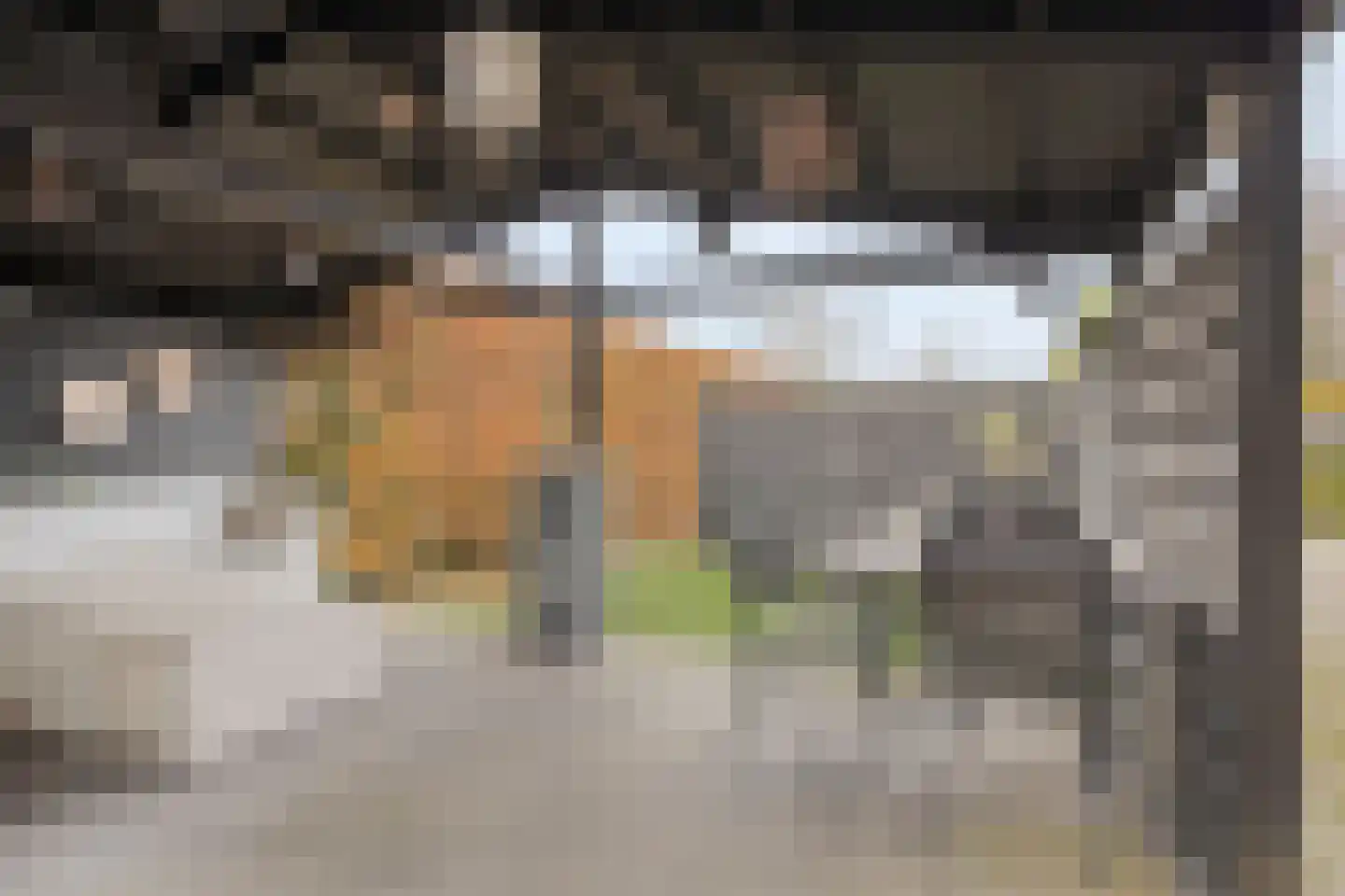 Loo 76 Bergeijk thumbnail 43