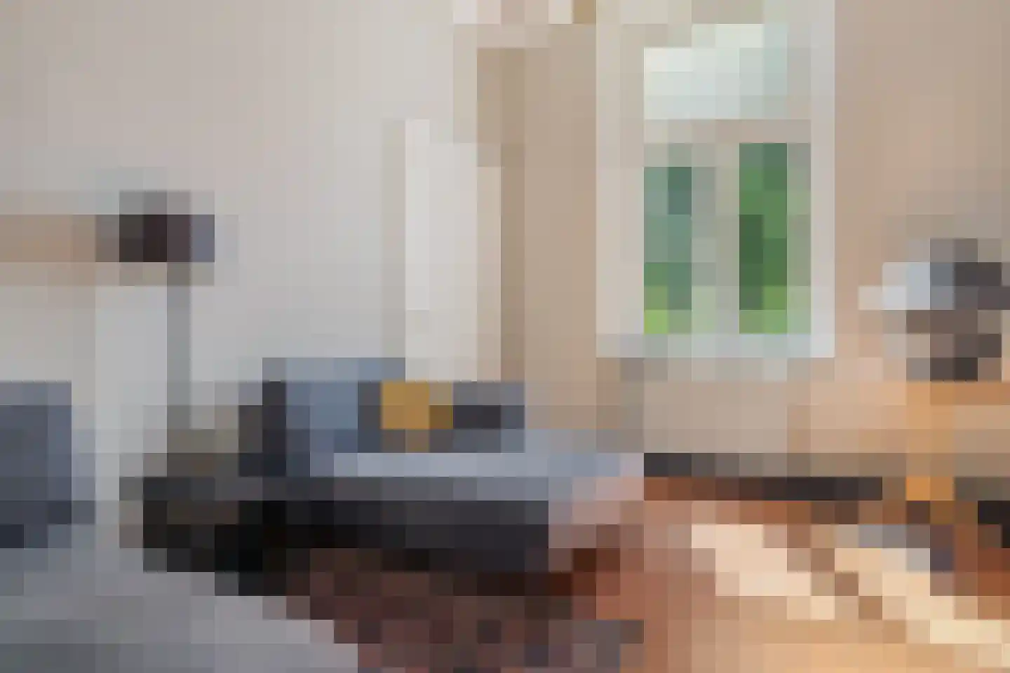 Loo 79 Bergeijk thumbnail 22