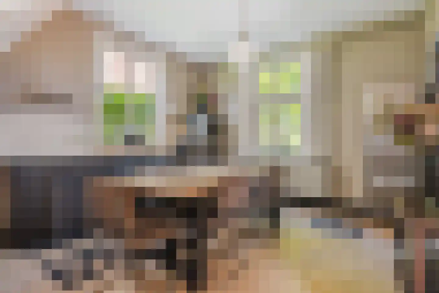 Loo 79 Bergeijk thumbnail 23