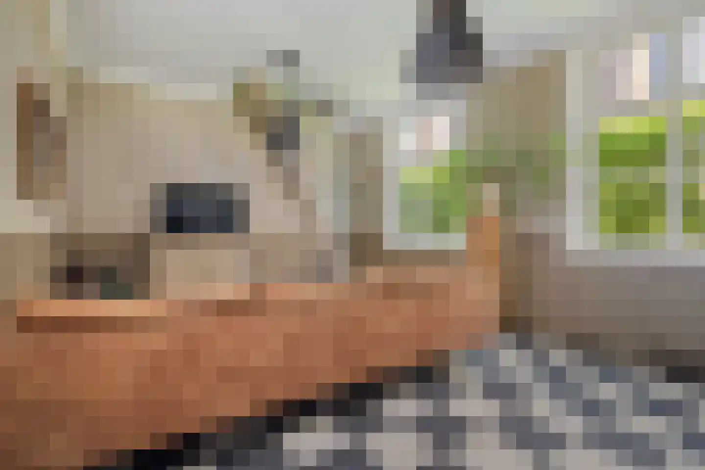 Loo 79 Bergeijk thumbnail 25