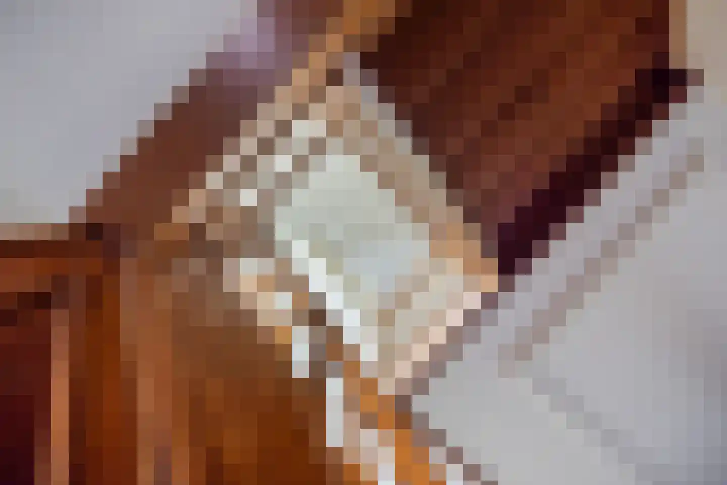 Loo 79 Bergeijk thumbnail 28