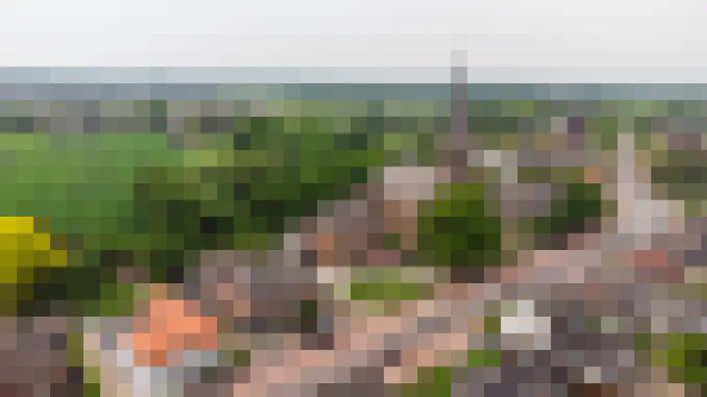 Loo 79 Bergeijk thumbnail 4