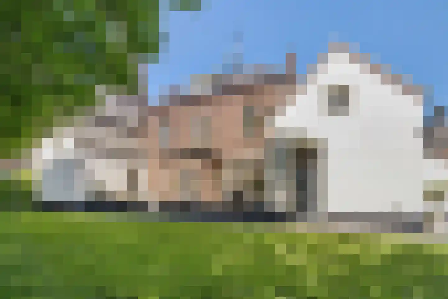 Loo 79 Bergeijk thumbnail 46